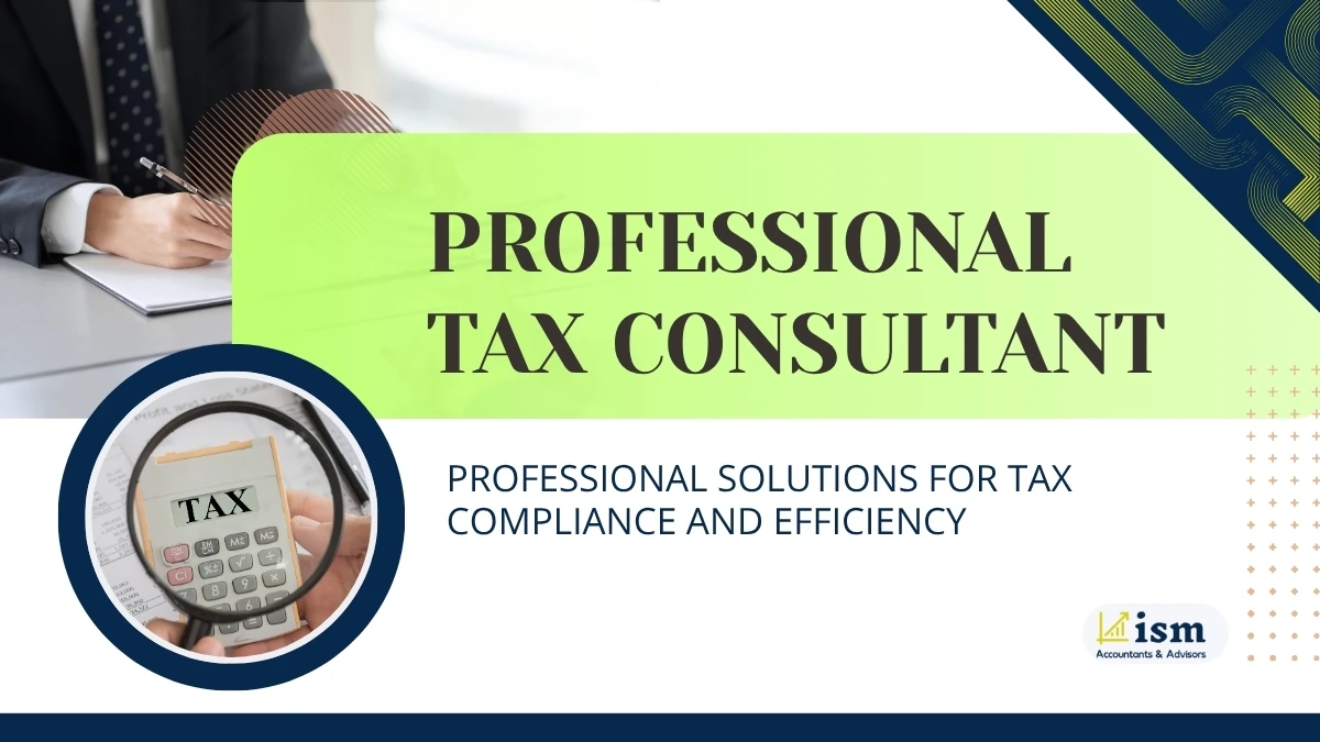 professional-tax-consultant